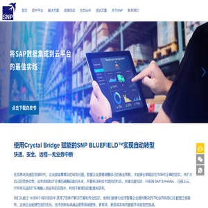 SAP系统升级 ECC升级S/4HANA SAP实施代理商 德国SNP中国官网