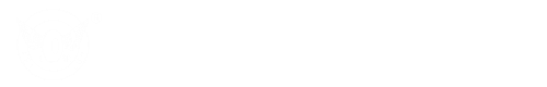 车桥油封_龙口市飞轮汽车配件有限责任公司