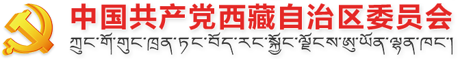 西藏经济发展的要素禀赋与产业基础分析_中国共产党西藏自治区委员会